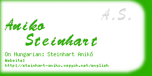aniko steinhart business card